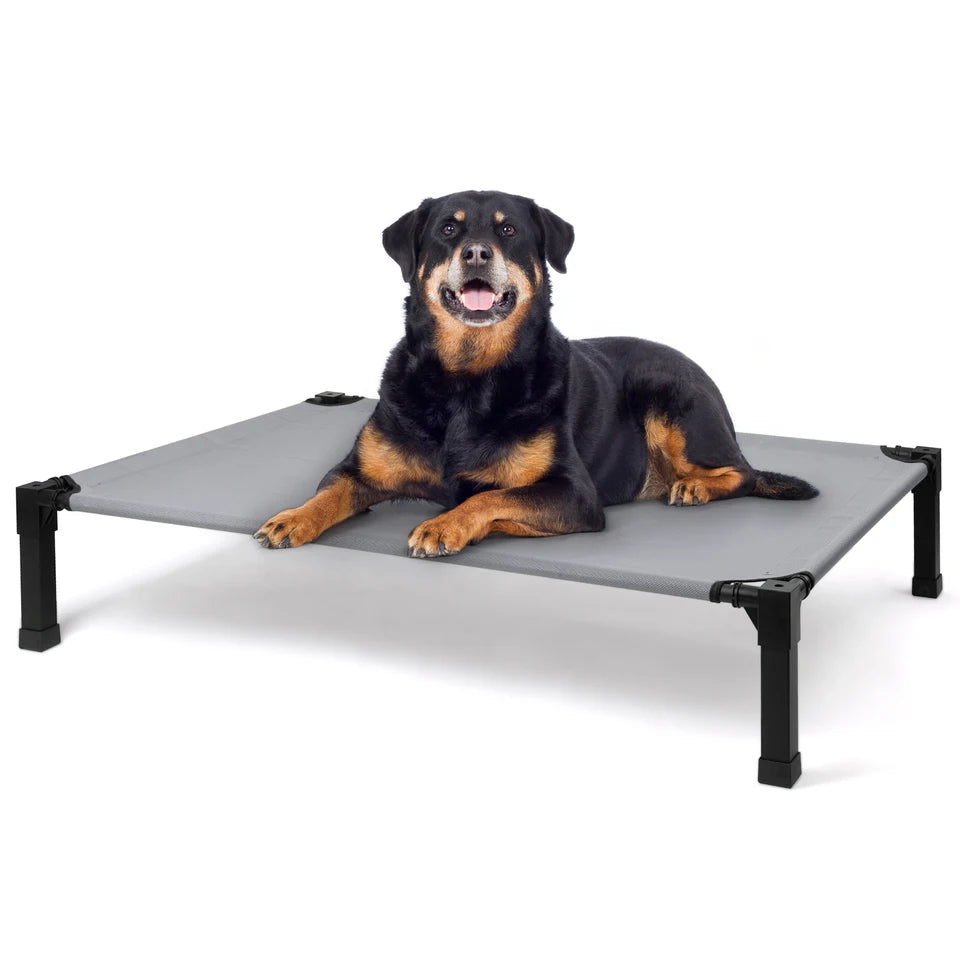Elevated Dog Bed with Cooling Mesh Metal Frame Portable Raised Pet Cot