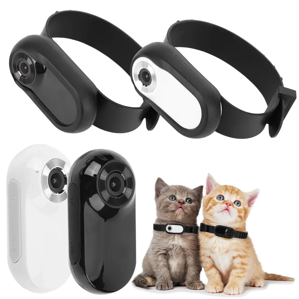 1080P Pet Camera Collar Dog Cat Tracker Video Recording No WiFi Needed
