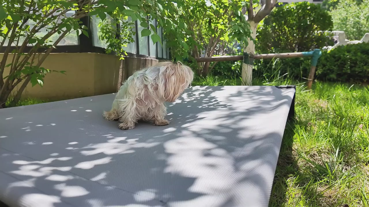Elevated Dog Bed with Cooling Mesh Metal Frame Portable Raised Pet Cot